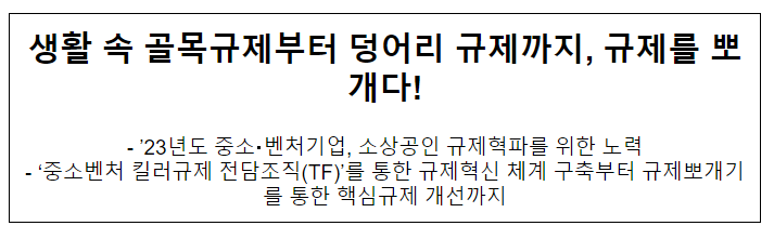 생활 속 골목규제부터 덩어리 규제까지, 규제를 뽀개다!