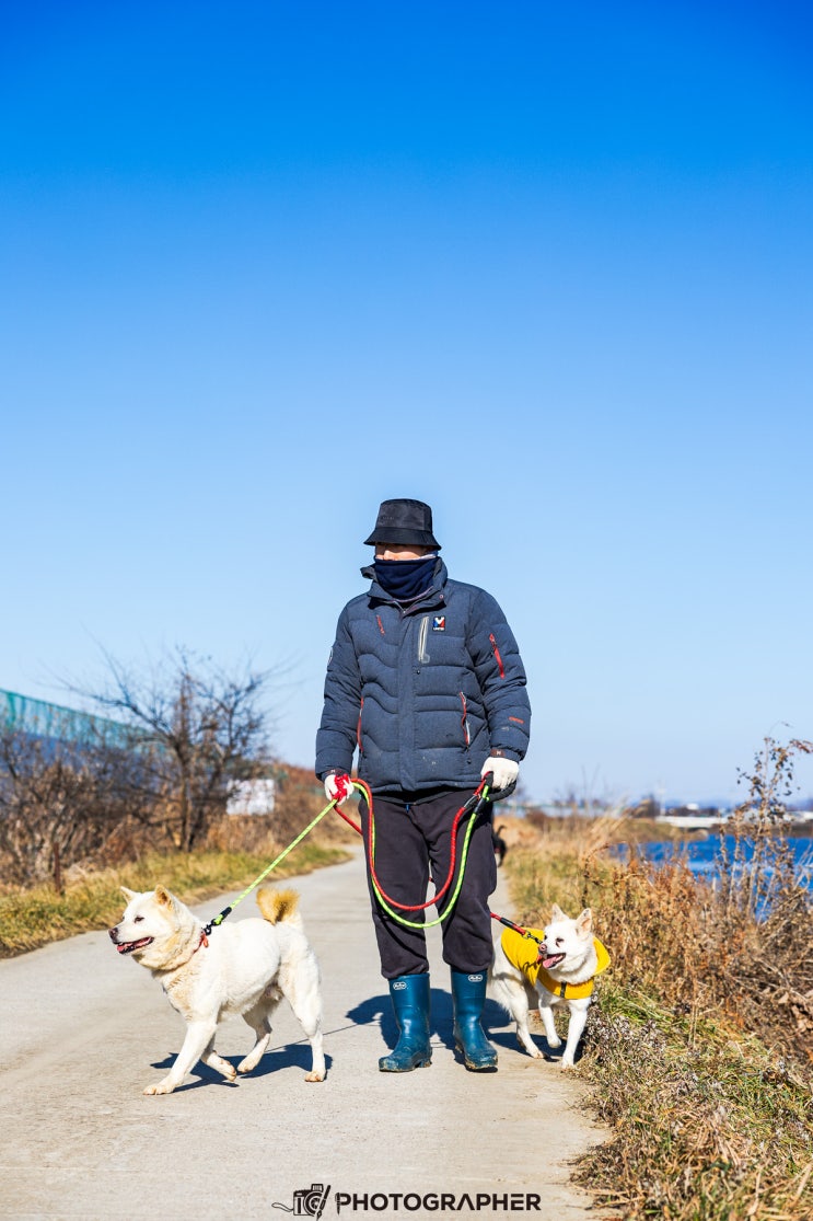 12월 혹한기 유기견보호소 <b>연탄봉사</b> 산책봉사 사료후원