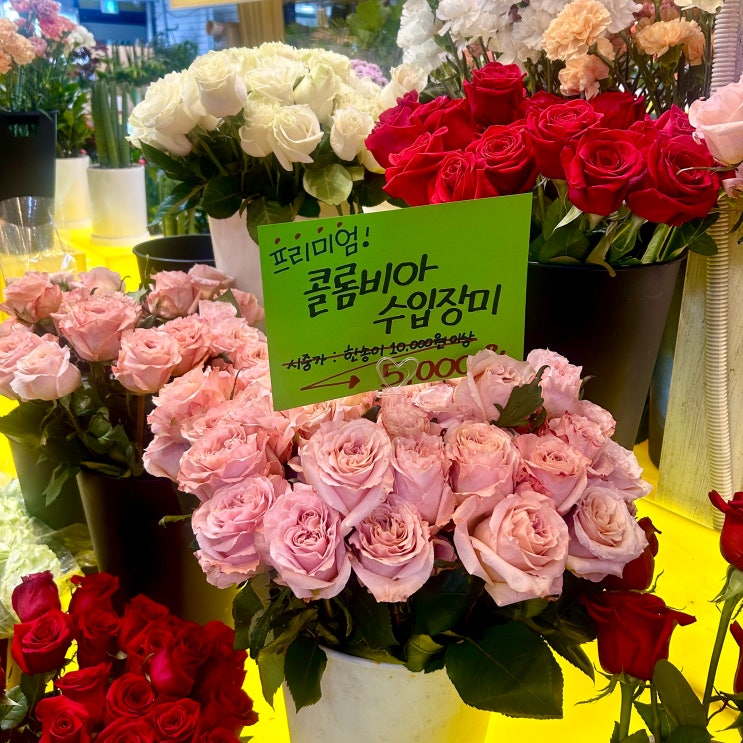  [인계동 꽃집] 수원 꽃 잘하는 집 백송이전문점