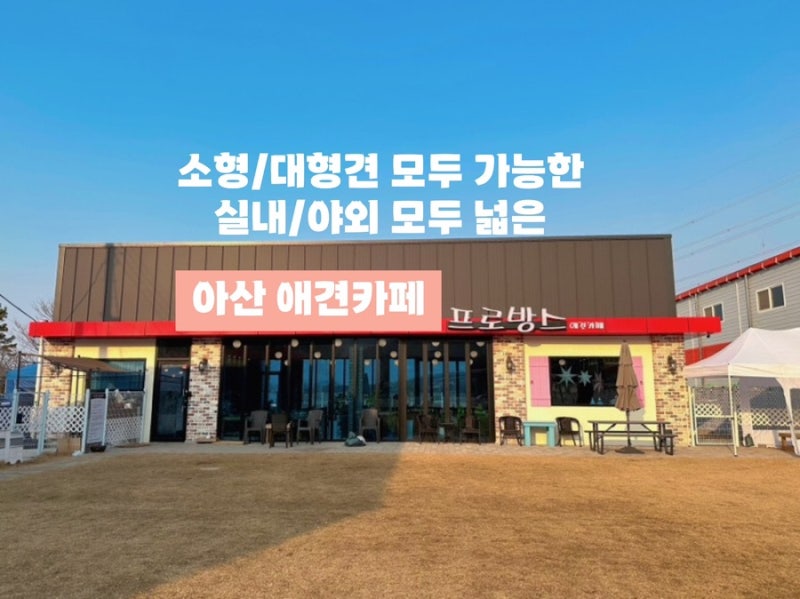 사진 9