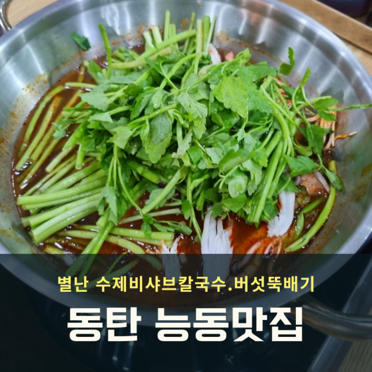 동탄 능동 샤브샤브 맛집 소개