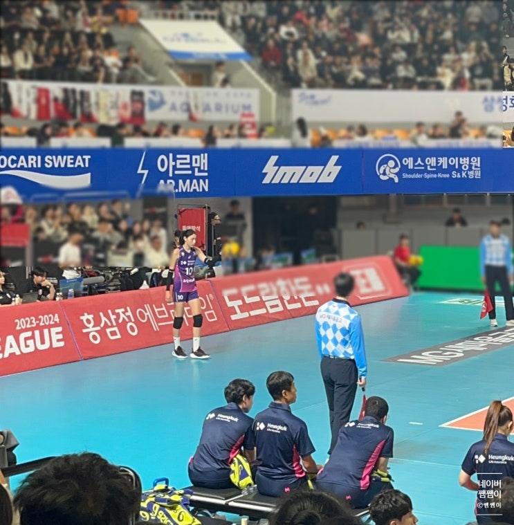 대전｜ <b>정관장</b>석 시야, 충무 c구역 시야｜브이리그 <b>심판</b>