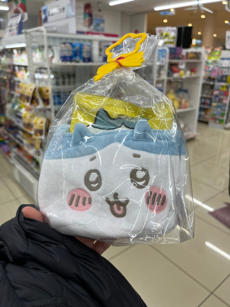 시즈오카&가와구치코 #4 다시 시즈오카로, 마구로동 맛집, 나나야, 굿즈샵, 100엔샵 털기 : 네이버 블로그