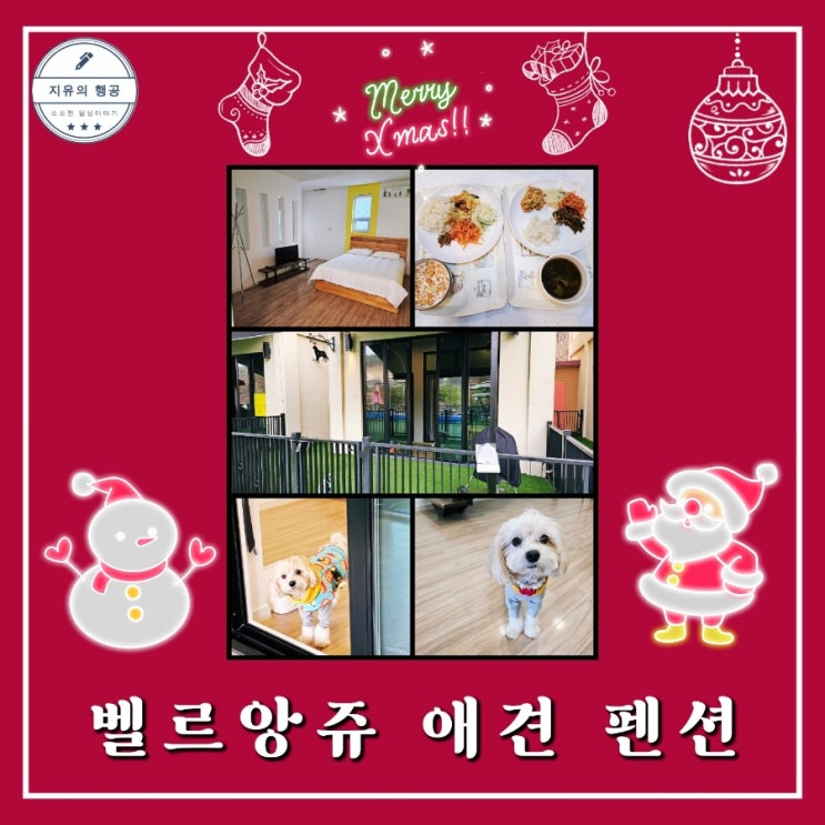  가평 벨르앙쥬 애견 펜션ㅣ조식 주는 곳 개별 운동장 야외 불멍 내돈내산 솔직후기