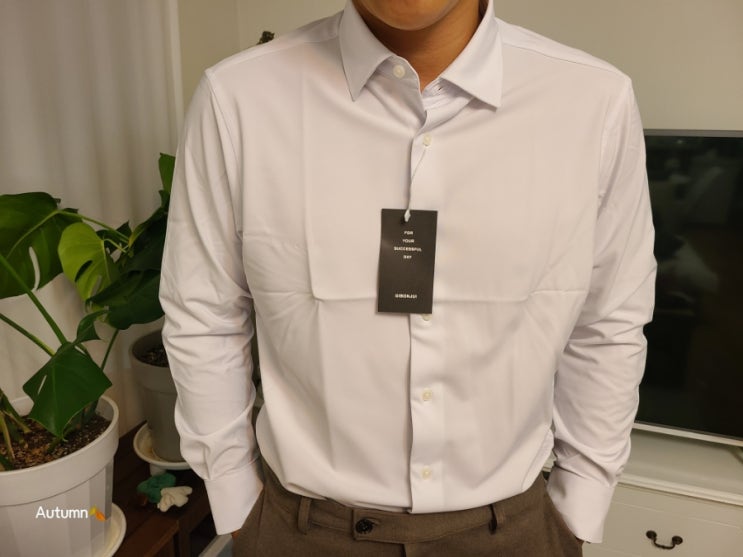 네돈내삶 소비일기 : '기본주의' 4년 넘게 입고있는 기특한 남성셔츠 후기