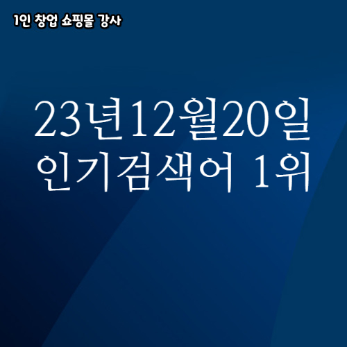 2023년 12월 20일 네이버쇼핑 분야별 인기 검색어 1위