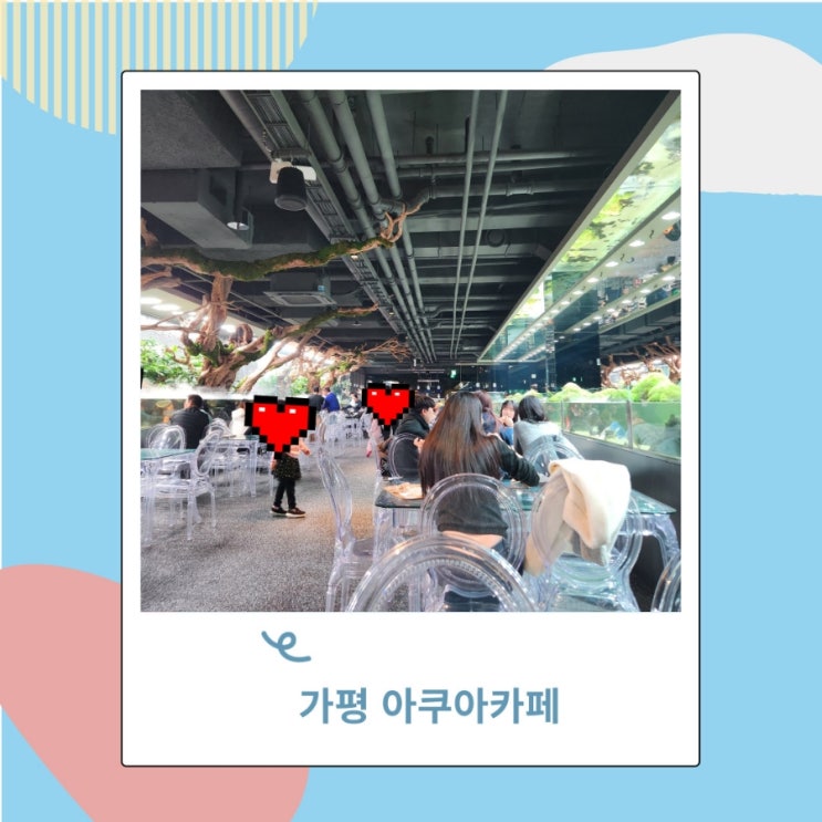 아쿠아가든카페 가평점 애견동반 실내 가능한 물멍 카페 아쿠아가든카페 가평점 애견동반 실내 가능한 물멍 카페