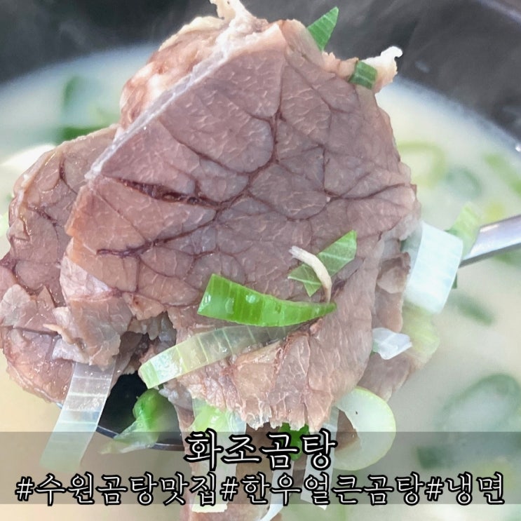 수원곰탕 맛집 매력있는 깔끔한 영통 화조곰탕