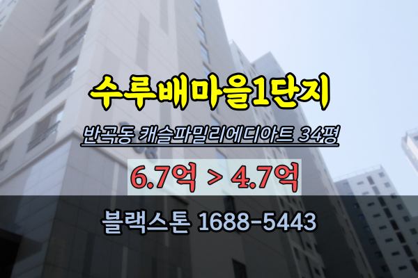  세종시 아파트 경매 30평대 수루배마을1단지 반곡동 급매물