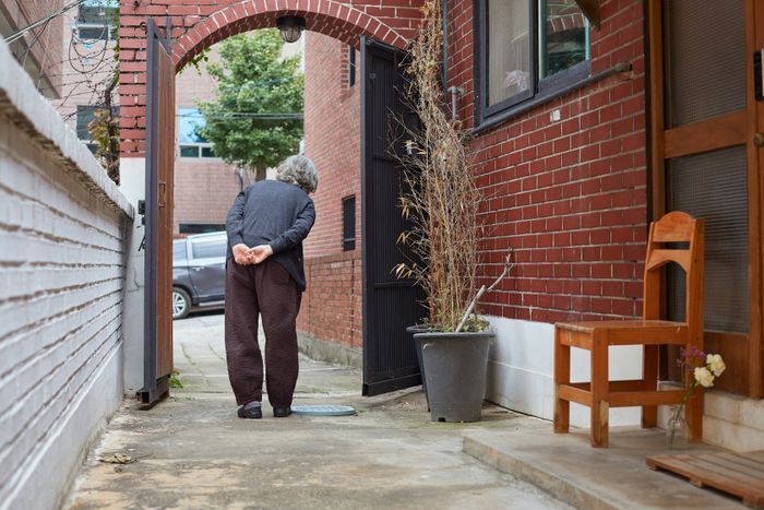 서울시 노인 4명 중 1명 독거노인…"부양 자녀 있지만 국가 혜택 받으려고 악용 사례 있어" 서울시 노인 4명 중 1명 독거노인…"부양 자녀 있지만 국가 혜택 받으려고 악용 사례 있어"