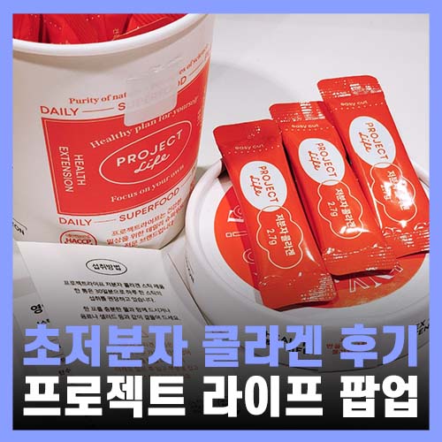  현대백화점 무역센터점 크리스마스 선물 프로젝트라이프