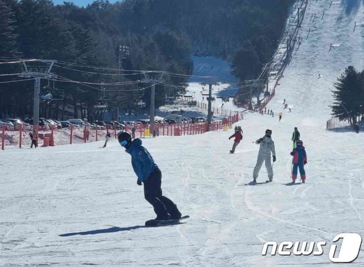 "스키장에서 '쾅!'…'일상배상책임보험'으로 보상받으세요"