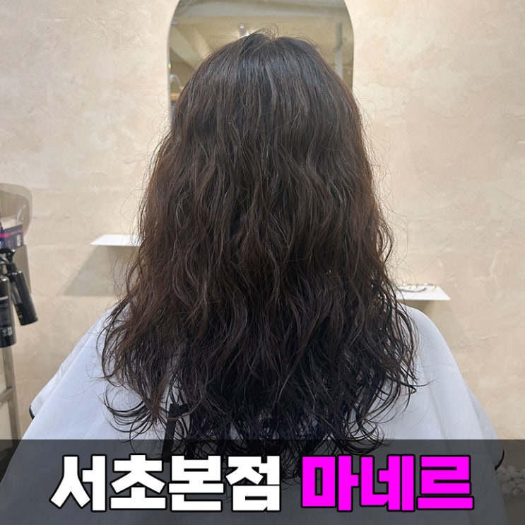  강남 미용실 마네르 긴 머리 여자 펌 히피펌 가격 선정쌤 추천