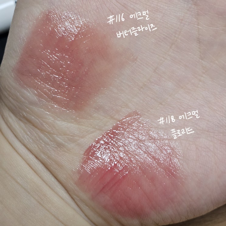  에크멀 논섹션 글로이 틴트 MPBB 버터플라이즈, 플로리드