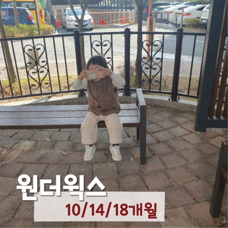 원더웍스 기간 특징 10개월 14개월 18개월 리얼 후기