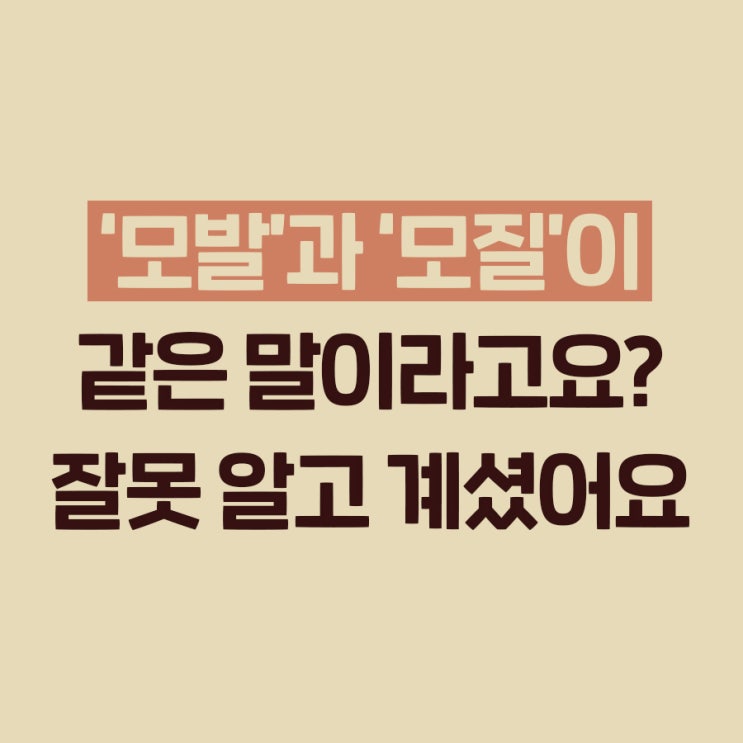  동탄2신도시 미용실 tip : 모발=모질 같은말? 도 안되는 소리!