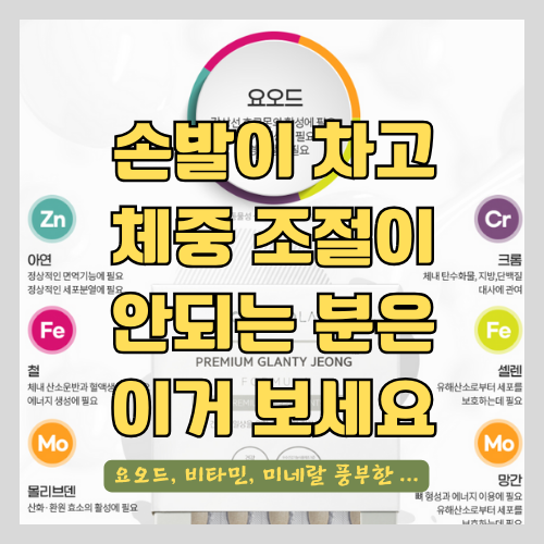  갑상선 영양제로 건강한 신진대사 유지하기 - 요오드, 비타민, 미네랄을 모두 함유한 영양제 추천