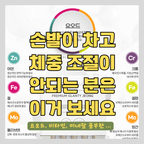 갑상선 영양제로 건강한 신진대사 유지하기 - 요오드, 비타민, 미네랄을 모두 함유한 영양제 추천