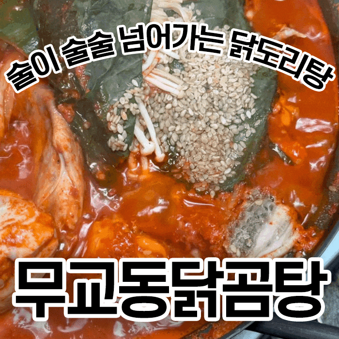  을지로 맛집 무교동닭곰탕 전라도식 닭도리탕 후기