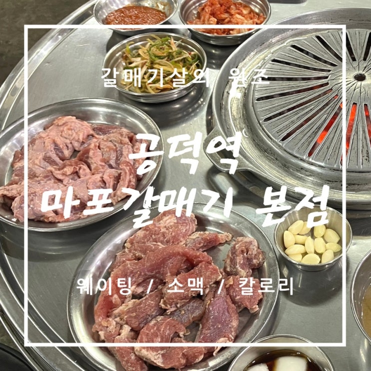마포 공덕역 마포갈매기 본점 - 웨이팅 / 껍데기 / 칼로리