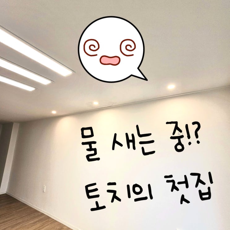  천장에서 물이 새서 슬픈 미니멀라이프 근황