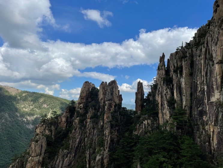  법률상담-부동산 경매개시결정등기 이전 선순위 근저당권자 부동산경매절차에서 채권신고시 소멸시효 중단효력 여부