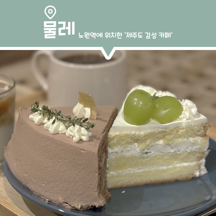  [카페] 노원역에 위치한 제주도 감성 카페 '물레' (Feat. 디저트 맛집)