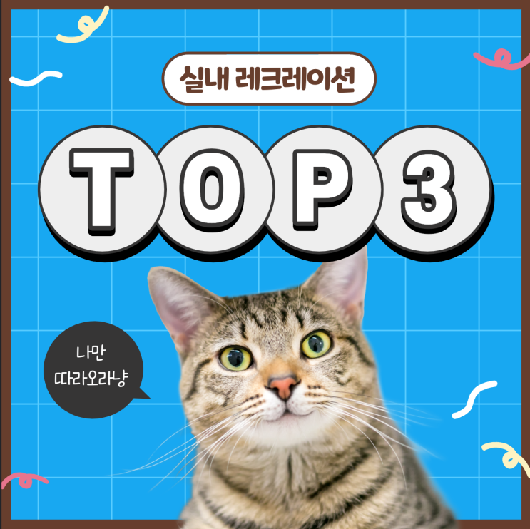 실내에서 하기 좋은 레크레이션 TOP 3 실내에서 하기 좋은 레크레이션 TOP 3