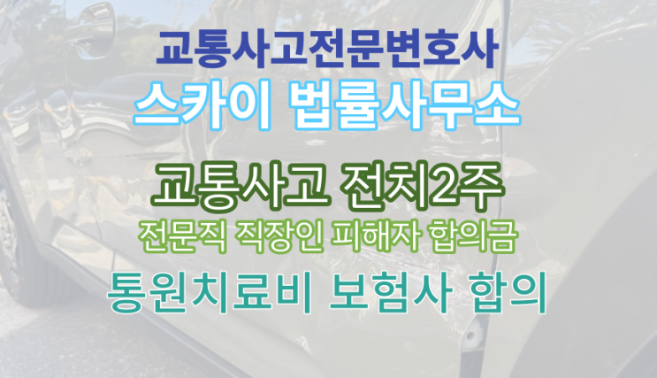  [교통사고전문변호사]약사 전문직 직장인 피해합의금_염좌전치 2주_합의금계산기준_보험회사 민사합의_무료법률상담