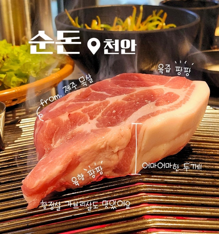  천안 불당동 제주 고기 항정살 / 목살 맛집 순돈 후기