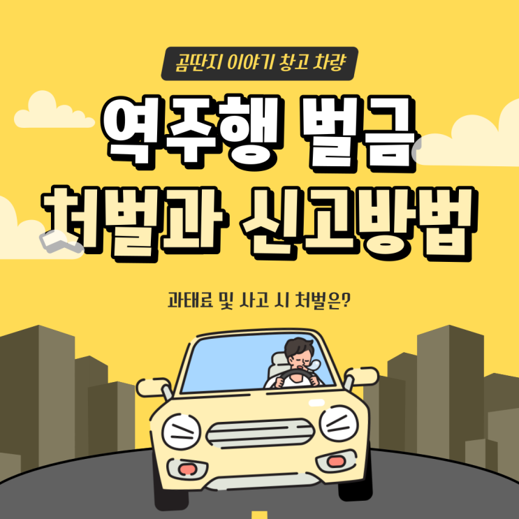  역주행 벌금 처벌과 신고방법은? '과태료' 사고시 처벌은?