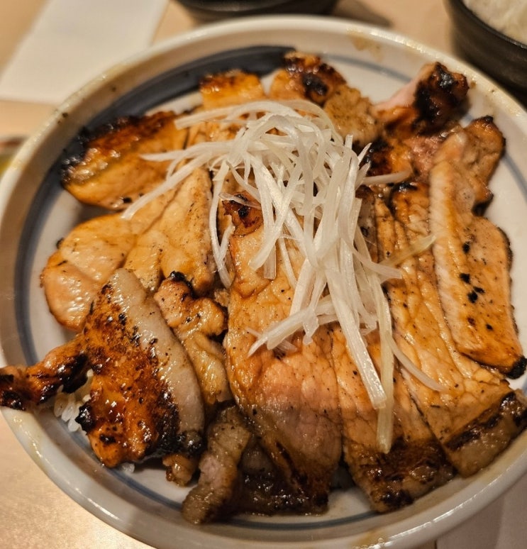 훗카이도 삿포로역 잇핀 부타동 맛집 <b>스텔라</b>플레이스점 방문기