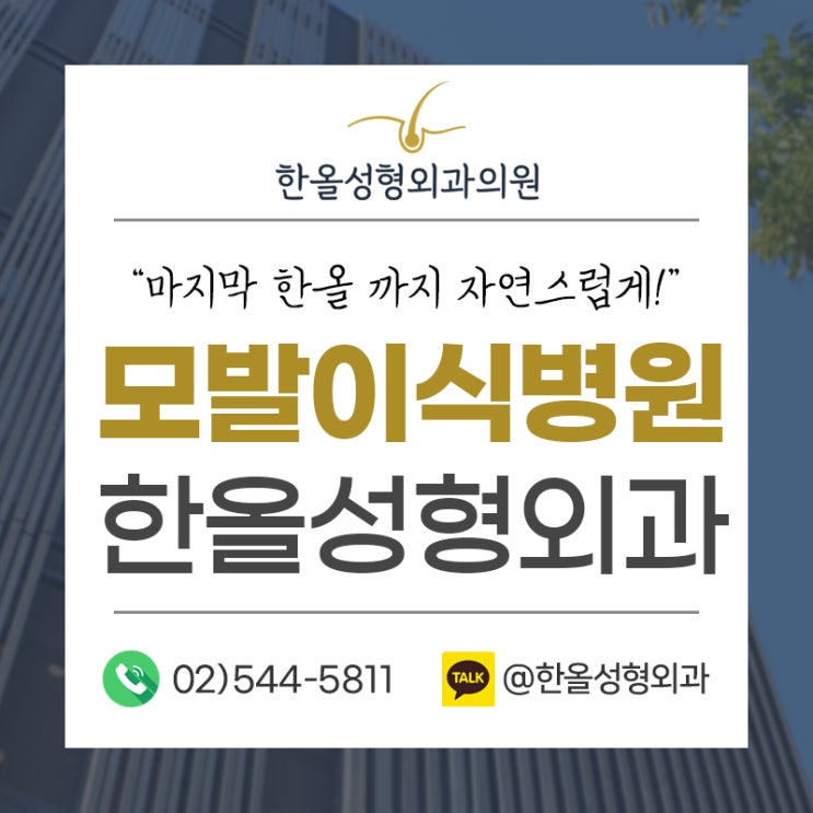  한올성형외과 비절개모발이식으로 완벽한 헤어라인을! - 모발이식병원 한올성형외과