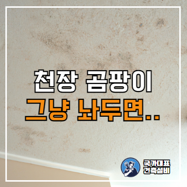  천장물샘 천장누수 곰팡이 원인, 누수탐지 및 공사(관악구 단독주택 사례)