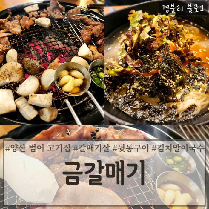  양산 범어 택지 고기집 갈매기살 & 뒷통구이 맛집 '금갈매기'