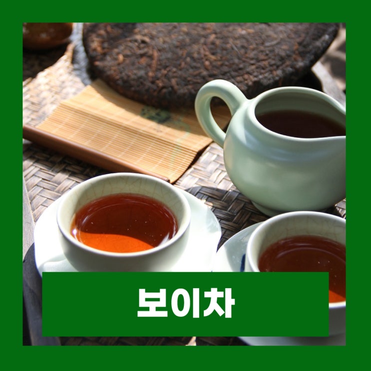  보이차 카페인 함량 효능 공복 임산부 술 부작용 보관법
