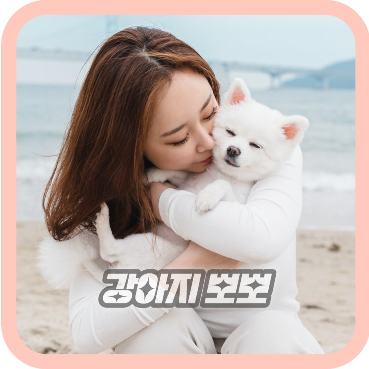  강아지 뽀뽀, 사람 건강에 문제가 될 수 있다?