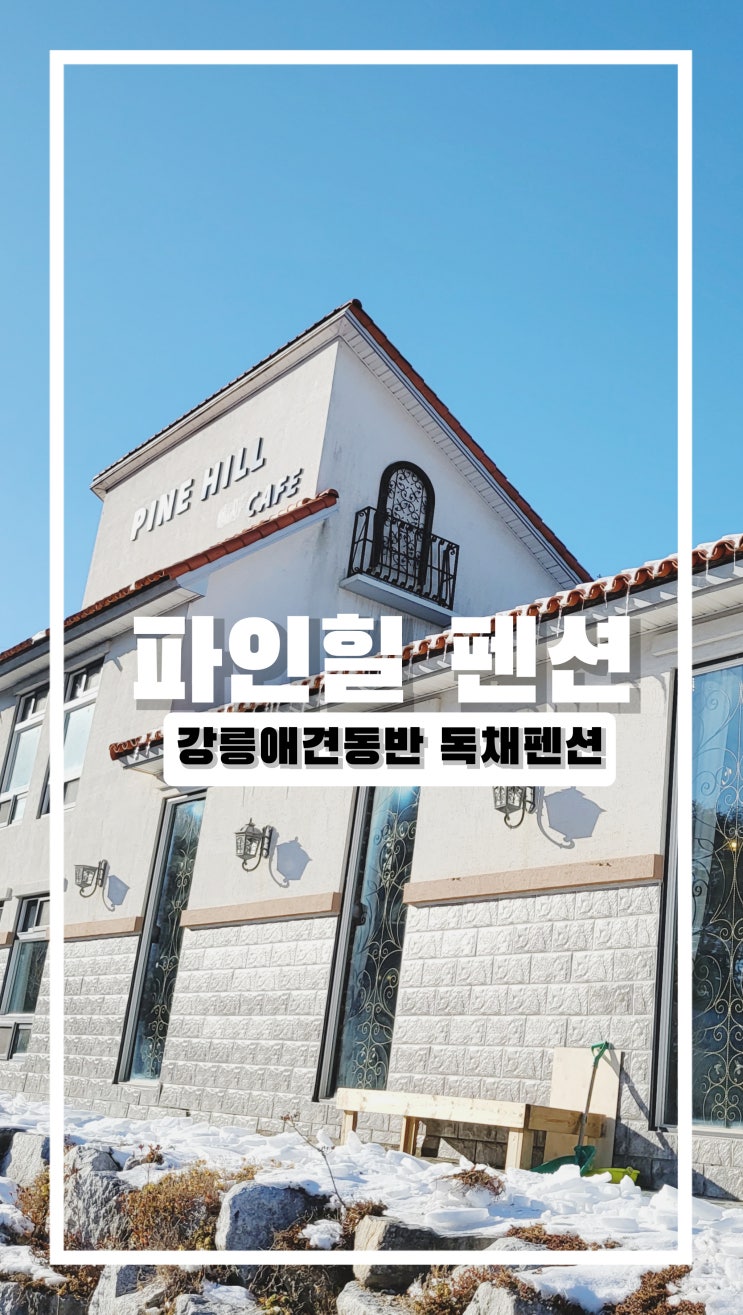  강릉 독채 펜션 파인힐펜션