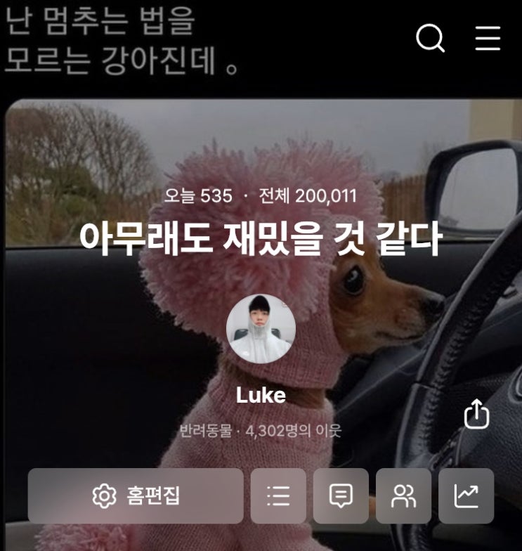  블로그 조회수 20만 돌파