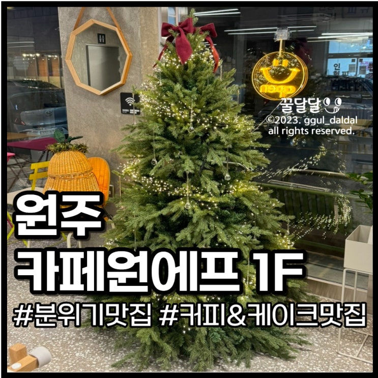  원주 카페 원에프 1F 크리스마스 트리가 있는 분위기와 핸드드립 커피 맛집