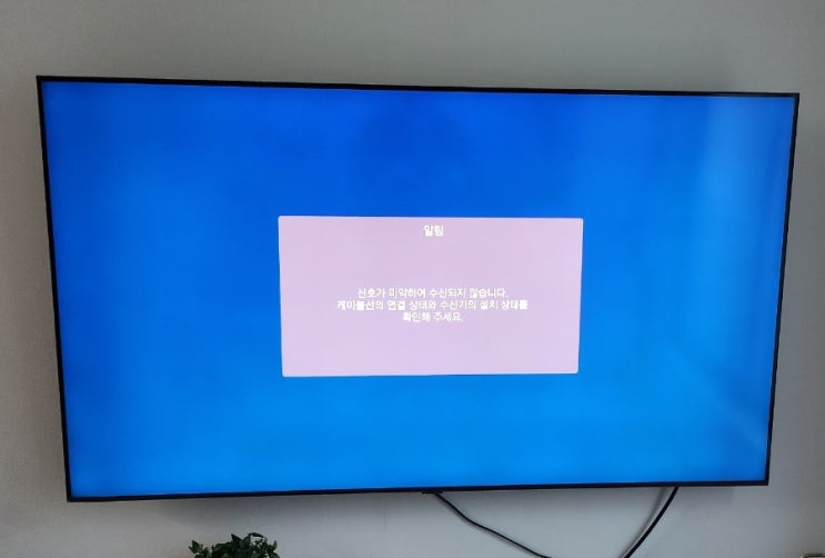  인터넷이 안돼 유