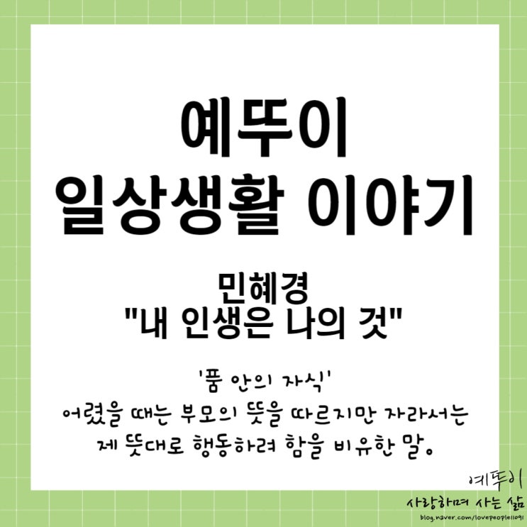  예뚜이 일상 생각 20살의 나 VS 50중반의 나를 돌아보게 만드는 노래 내 인생은 나의 것
