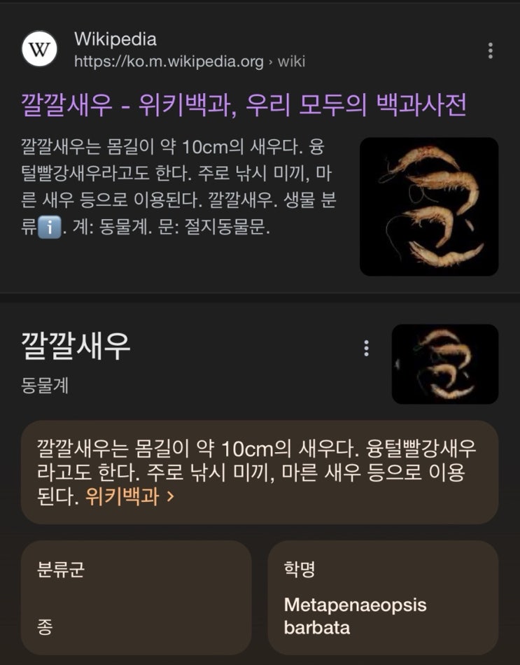  깔깔새우 이야기(논픽션)