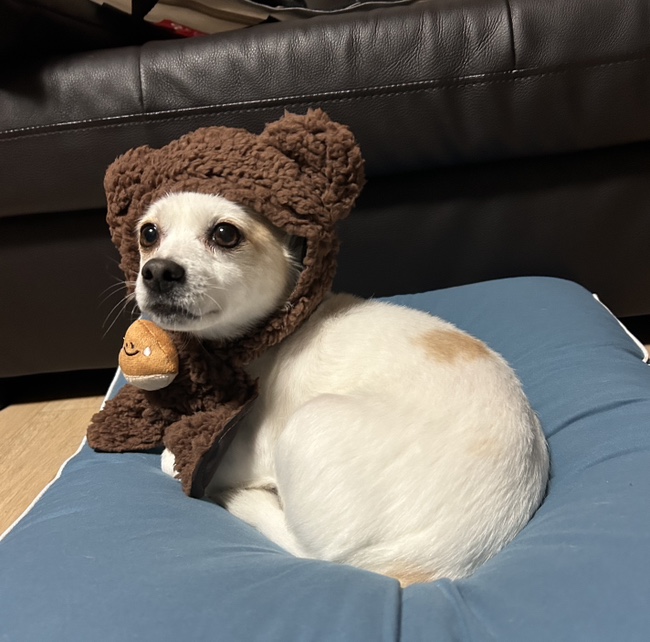  나는야 케찹될거야 나는야 춤을 출거야