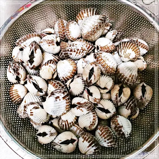  227회 허영만 백반기행 순천집 노량진 남도 백반 전라도 대표 생선 양태구이 벌교산 참꼬막찜 유한양행 조욱제 사장 매생이국 맛집 솔직 후기 및 리뷰