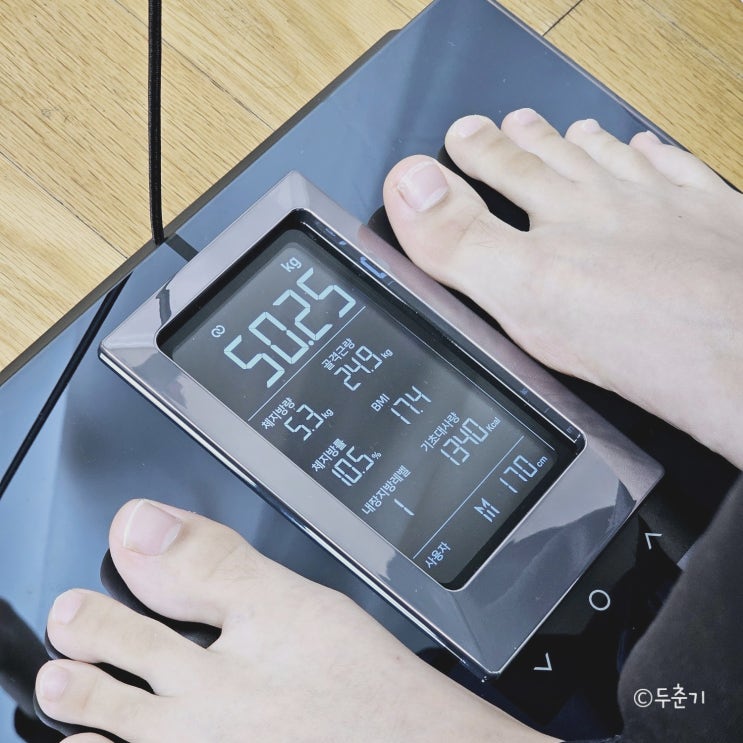  정확한체중계 추천 체지방 확인까지 가능해요