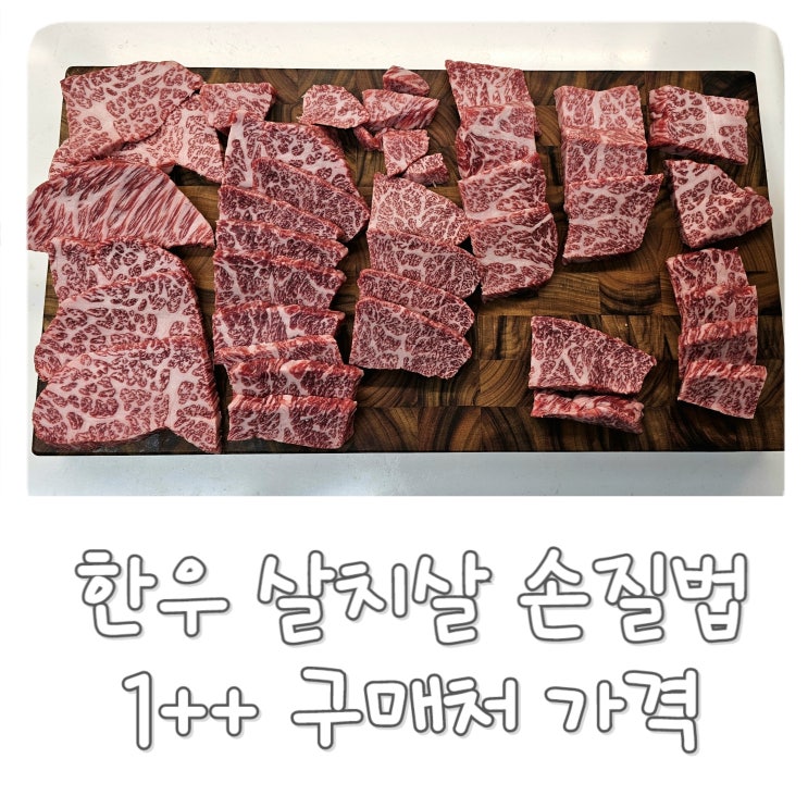  [한우 살치살 써는법] BMS 9 투쁠 한우 소고기 손질, 인생 한우 가격 구매처 에르고그립 정육칼