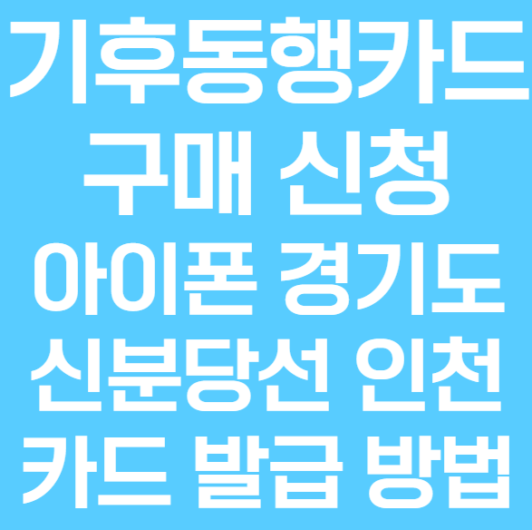 기후동행카드 신청 구매 발급 카드 종류 사용처 경기도 인천 신분당선 아이폰 교통카드 제가 직접 신청해본 후기