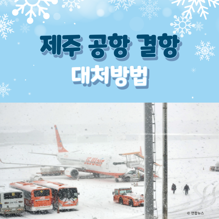 <b>제주공항</b> 결항 확인 방법 비행기 결항 대처 방법