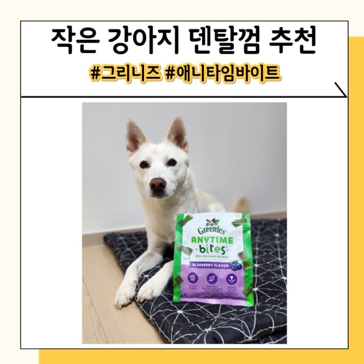 강아지 그리니즈 덴탈 껌 티니보다 작은 애니타임바이트 강아지 그리니즈 덴탈 껌 티니보다 작은 애니타임바이트